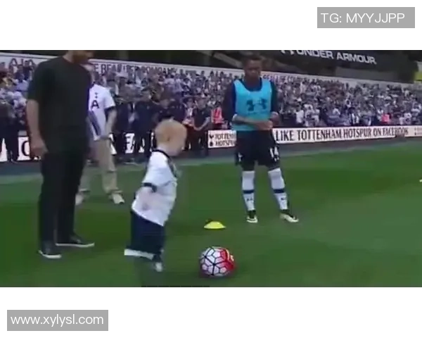 足球球星树熊：从坚韧不拔到绿茵场上的独特魅力解析